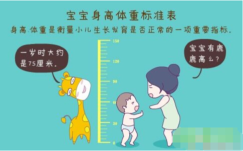 超声波茄子污片APP安卓下载正确测量方法标准身高体重表 超声波茄子污片APP安卓下载正确测量方法标准身高体重表